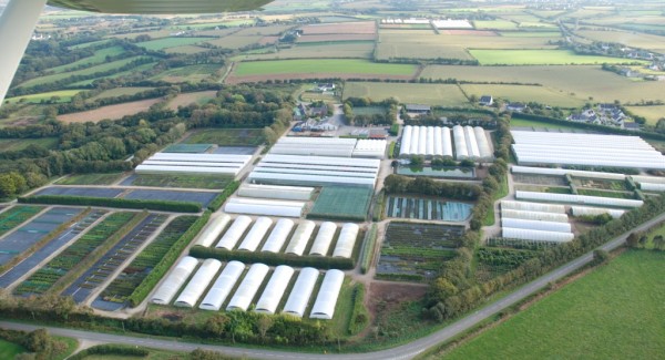 Recrutement Adjoint de production